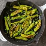 Sautéed Shishito Peppers in a pan