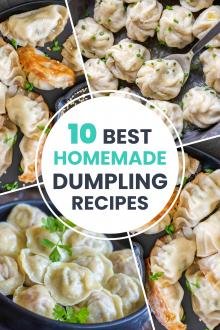 Collage of 4 of 10 top dumpling recipes