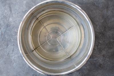 Instant pot with chicken broth