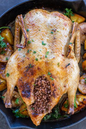 Whole Baked Duck with buckwheat on a pan