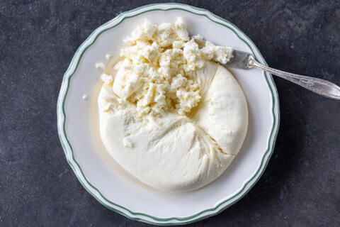 Farmers cheese on a plate
