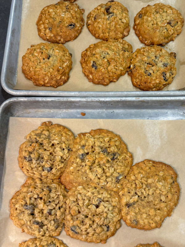 Raisin Cookies testing cookies on two trays.