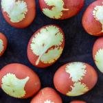 colored eggs with herb design