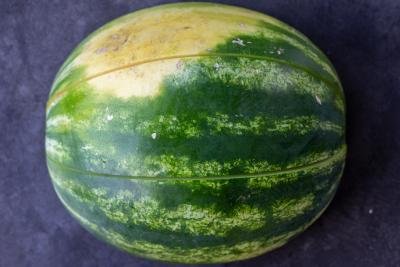 half Watermelon cut into three pieces