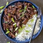 Korean beef bulgogi on a plate with rice and garnish of green onion.