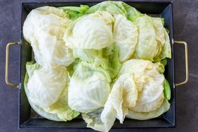 Cabbage leaves on a tray.