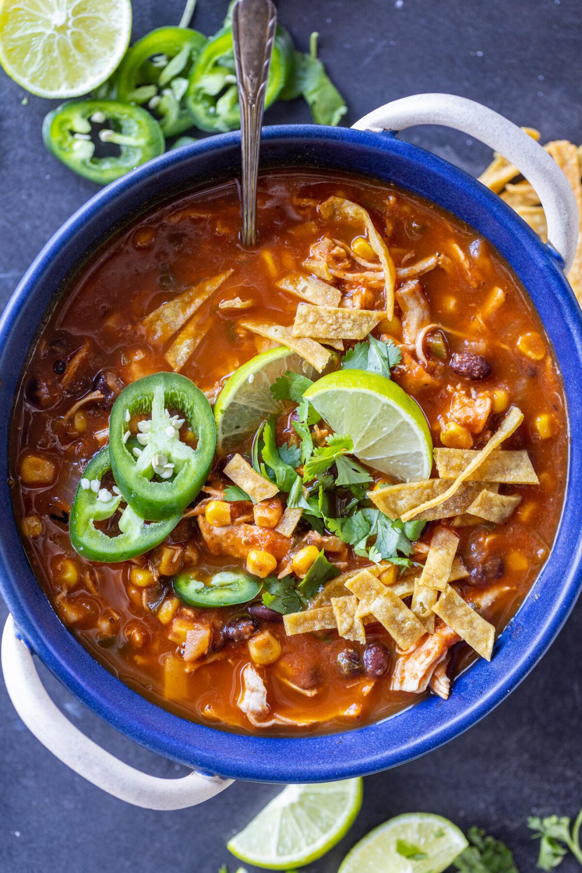 54 Soup Recipes & Ideas - Learn to Make Soups - Momsdish