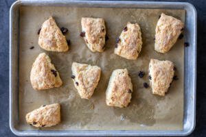 Baked scones on a baking sheet.