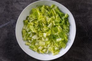 Chopped Lettuce in a bowl.