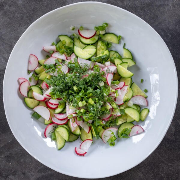 Cucumbers, radish, green onions and herbs.