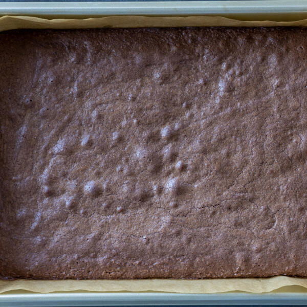 Baked brownie in a tray/.