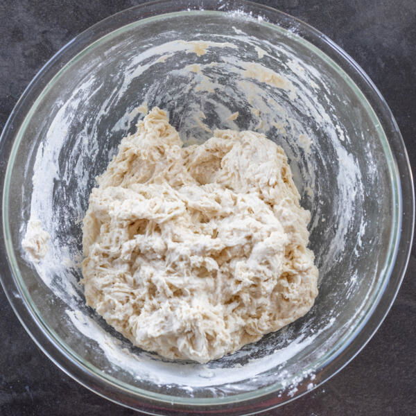 Dough combined in a bowl.