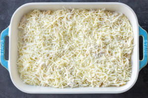Chicken Alfredo in a pan with cheese on top.