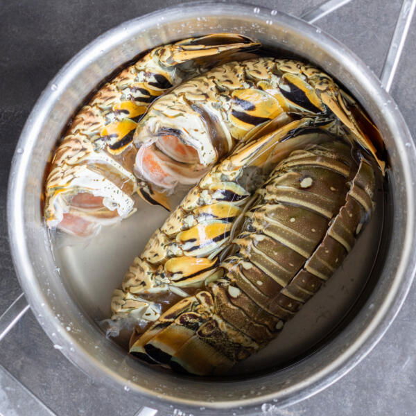 Lobster shell in a pot with water.