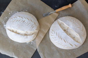 Scored High Hydration Sourdough Bread before baking.