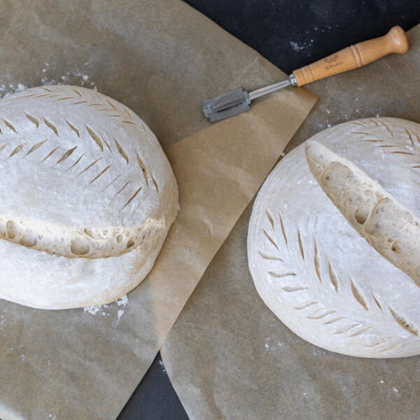 Scored High Hydration Sourdough Bread before baking.