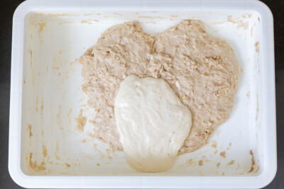 Sourdough starter added to the dough.