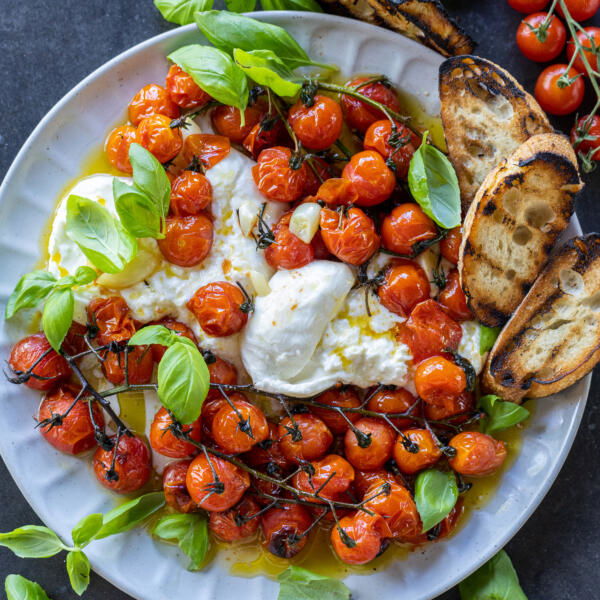 Braised Tomatoes with Burrata plated ready to be served.