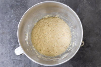 Milk, flour, sugar and yeast in a bowl all bubbly.