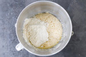 Flour added to the bubbly dough starter.