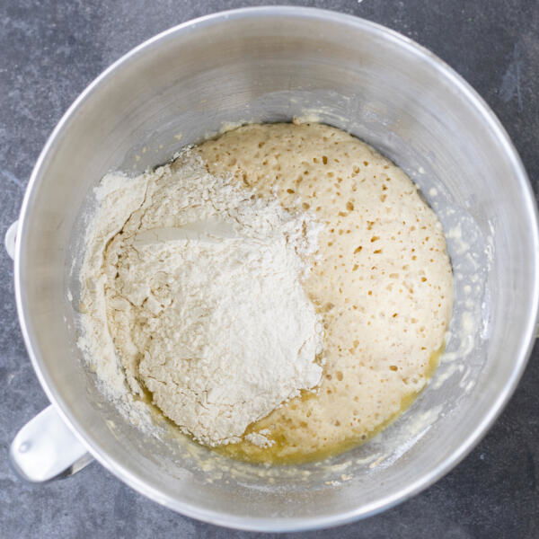 Flour added to the bubbly dough starter.