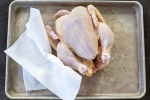 Chicken with a paper towel.