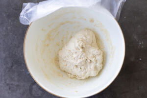 Oat Sourdough Bread dough in a bowl.