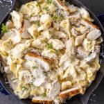 Plated Chicken Alfredo Tortellini.